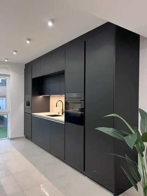 Moderne schwarze Einbauküche mit Spotbeleuchtung und einer Zimmerpflanze im Vordergrund.